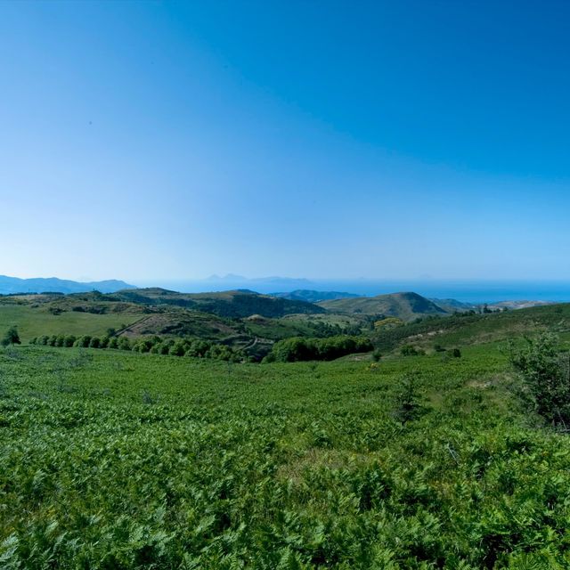 Montalbano Panorama 008